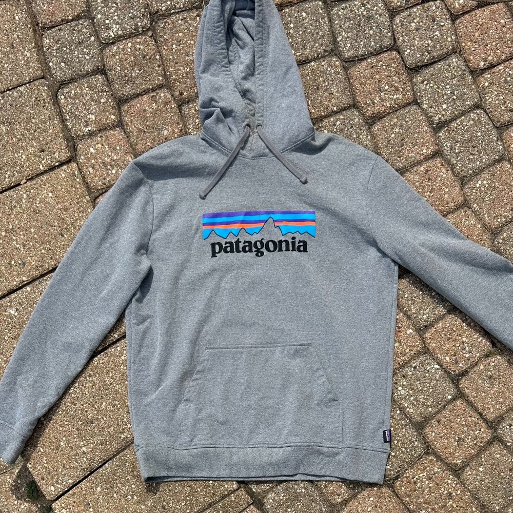 Patagonia Gray Hoodie with Blue and Black Logo